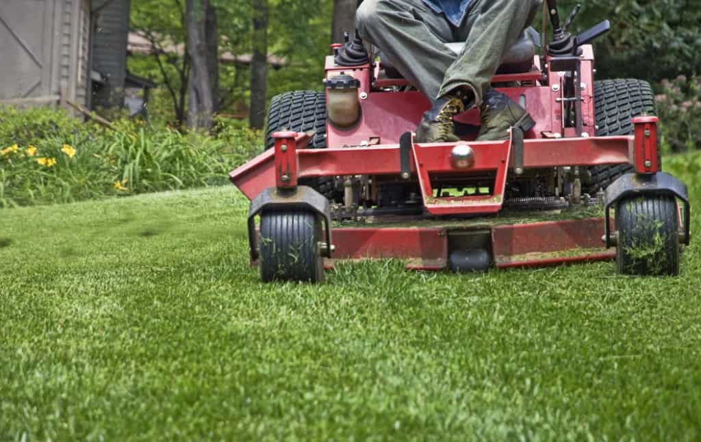 what-to-expect-from-lawn-maintenance-services