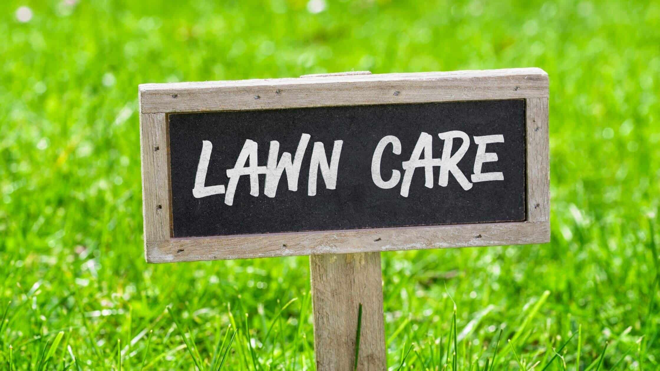 lawn care 101