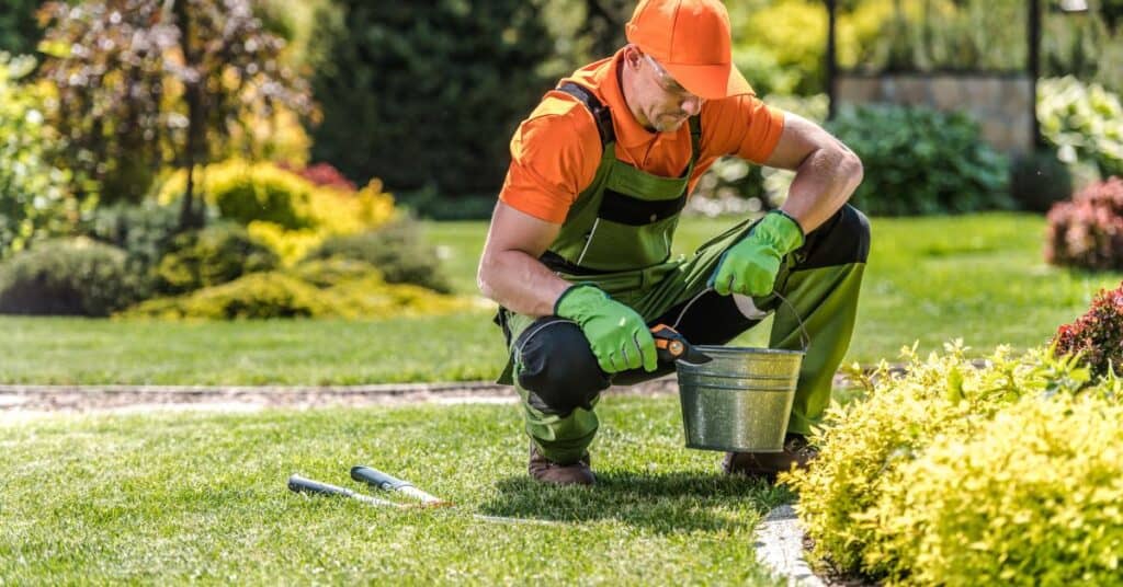 Lawn Care Benefits