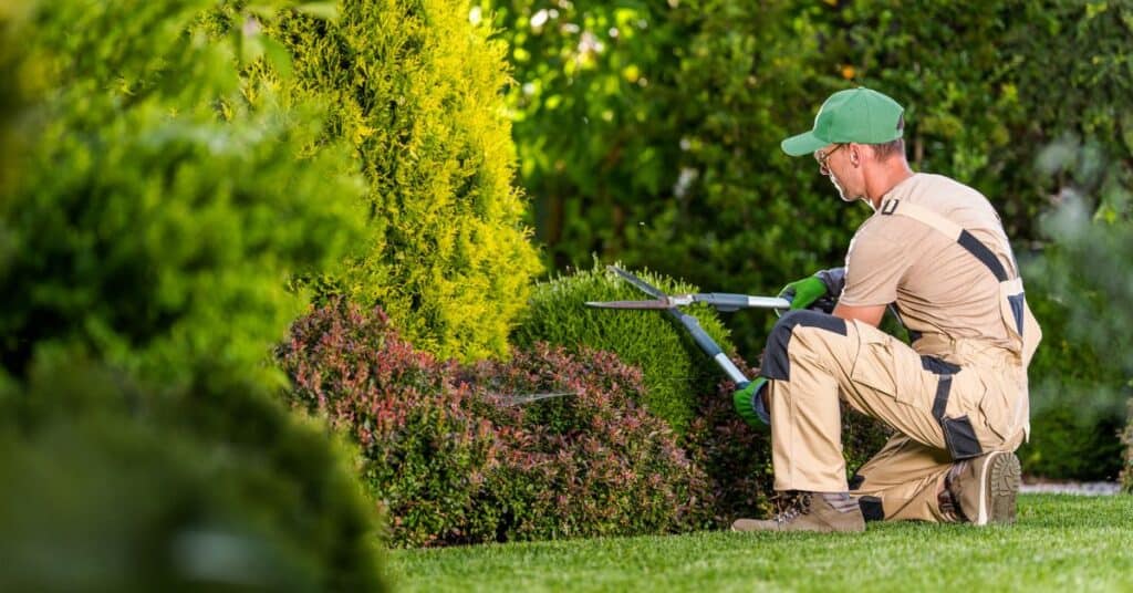 Top 10 Do's and Don'ts of Landscaping